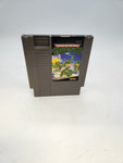 Teenage Mutant Ninja Turtles Nintendo NES, 1989.